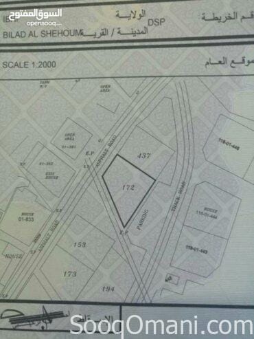 ارض سكنيه في بلاد الشهوم