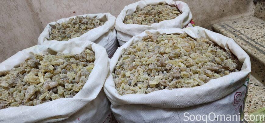 Al-Amiri offers to sell all Omani frankincense at wholesale prices from the 25th to the 31st of May.