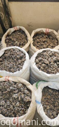 Al-Amiri offers to sell all Omani frankincense at wholesale prices from the 25th to the 31st of May.