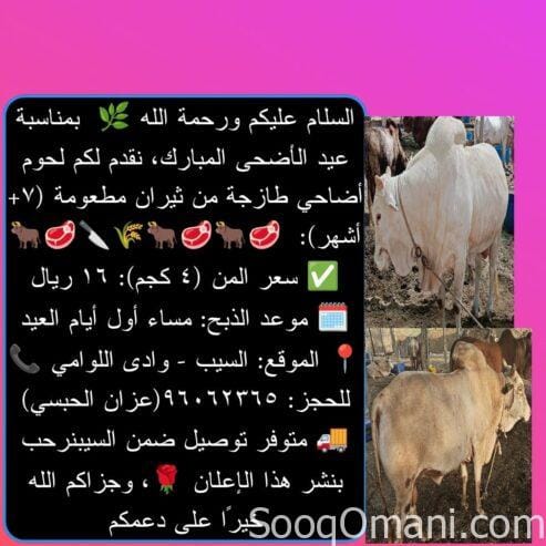 Fresh meat for sale in Seeb, Al Man, for 16 riyals