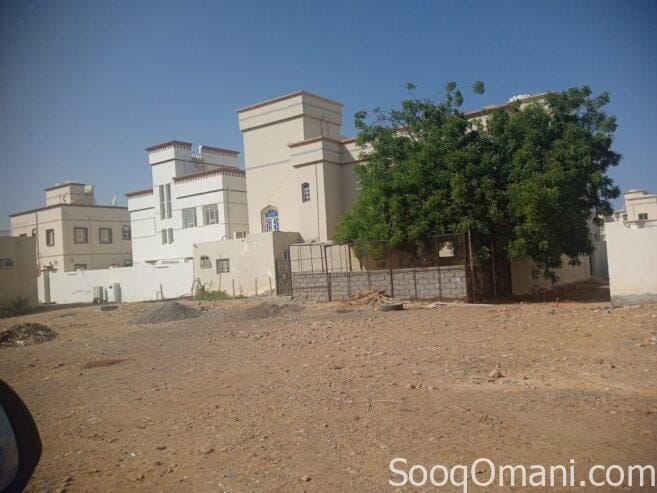 Two adjacent houses for sale on one plot of land