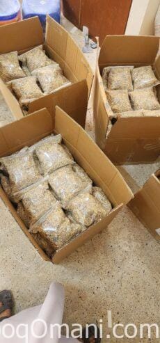 Al-Amiri offers to sell all Omani frankincense at wholesale prices from the 25th to the 31st of May.