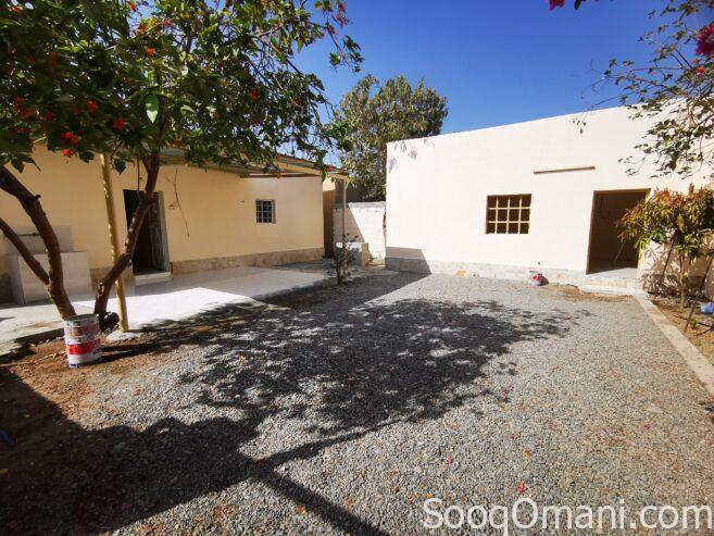 House for rent in Shinas
