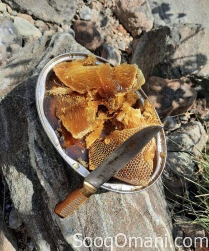 Original Omani Abu Tuwaiq Honey 2025