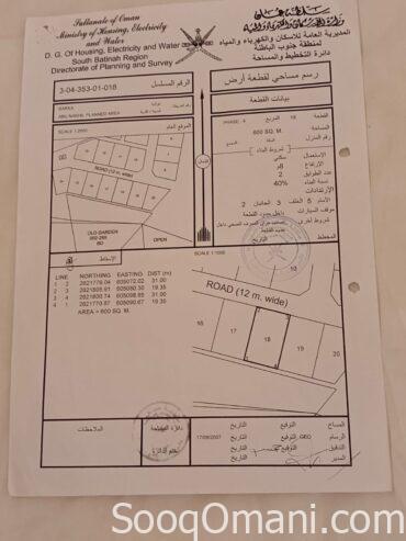 Two adjacent plots of land for sale in Abu Al Nakhil area