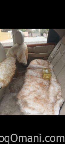 Lexus for sale