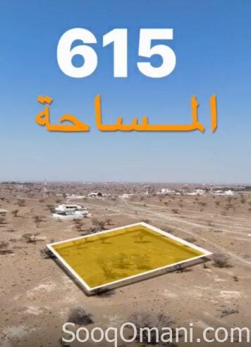 A wide, flat land, surrounded by nature on all sides, with fertile soil and a quiet location, suitable for agriculture or coffee
