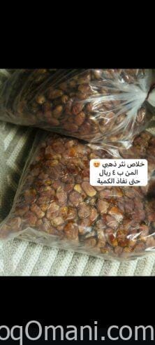 تمر خلاص الشرقية شمال ٢٠٢٥م