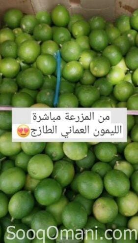 Omani lemon live. Follow the details.