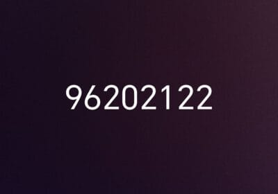 1b221ab8-a0ba-4904-849a-46c7752ba9c9