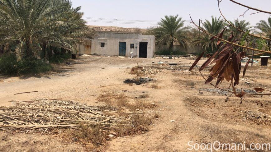 للبيع مزرعه