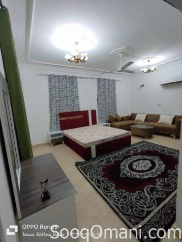 Studios and rooms for rent