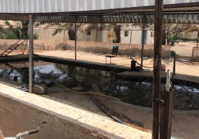 5BB0EEA6-043D-430C-8161-94B057DD4A4E