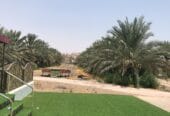 للبيع مزرعه