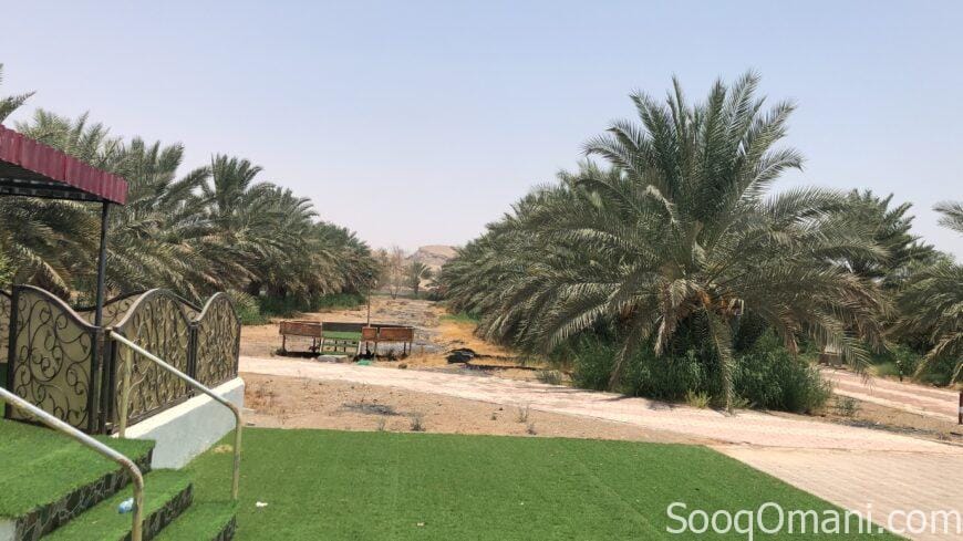 للبيع مزرعه