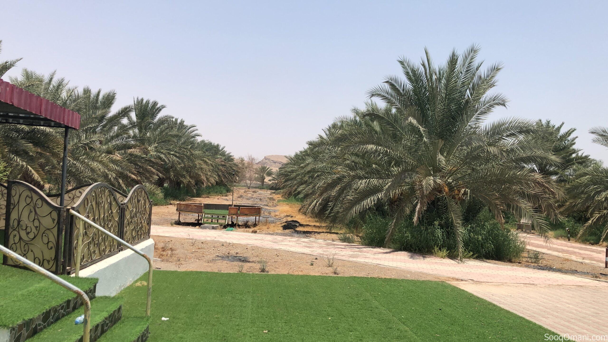 للبيع مزرعه