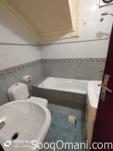 Studios and rooms for rent