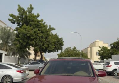 84B71CF8-6AF9-4328-A7E2-744B7542C5C5