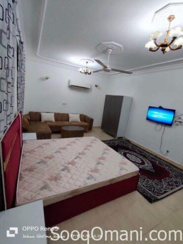 Studios and rooms for rent