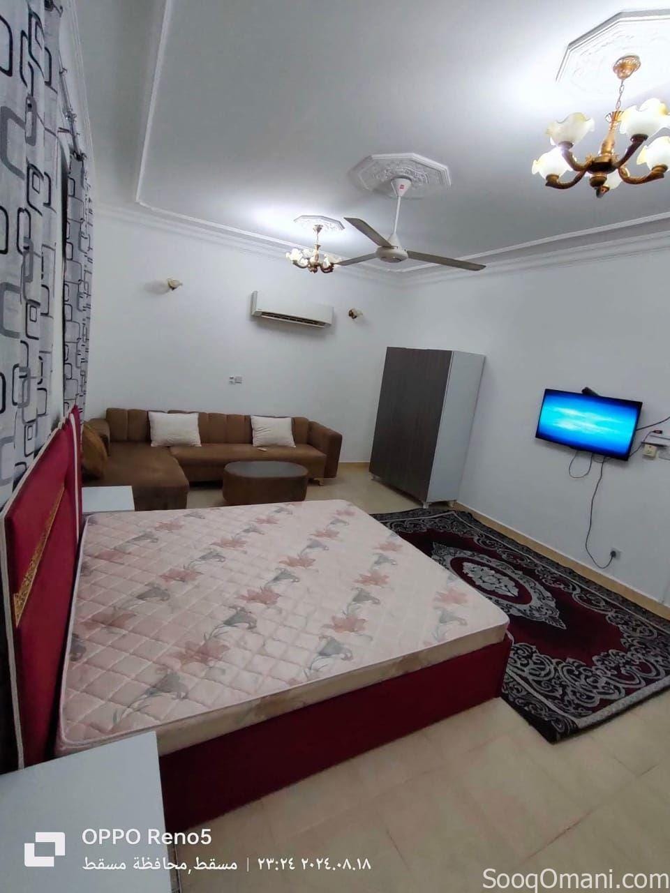 Studios and rooms for rent