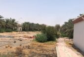 للبيع مزرعه