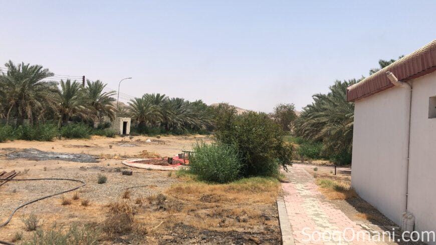 للبيع مزرعه