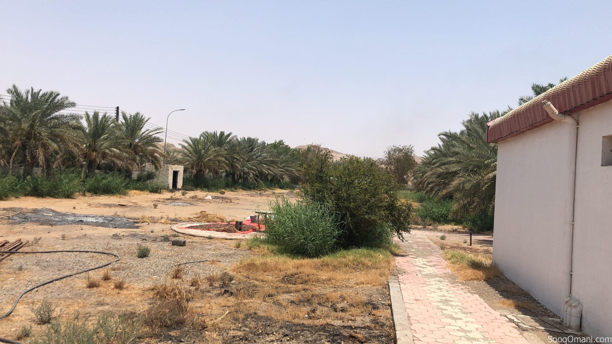 للبيع مزرعه
