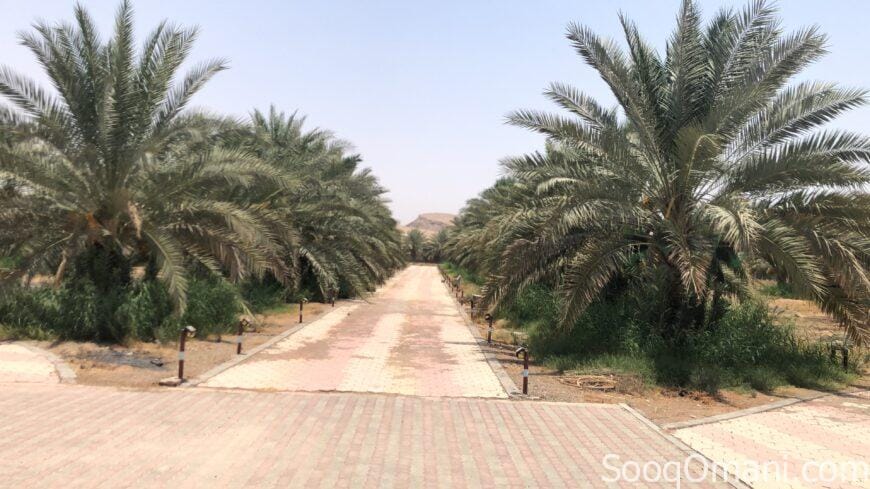 للبيع مزرعه