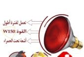 Egg incubators for all birds