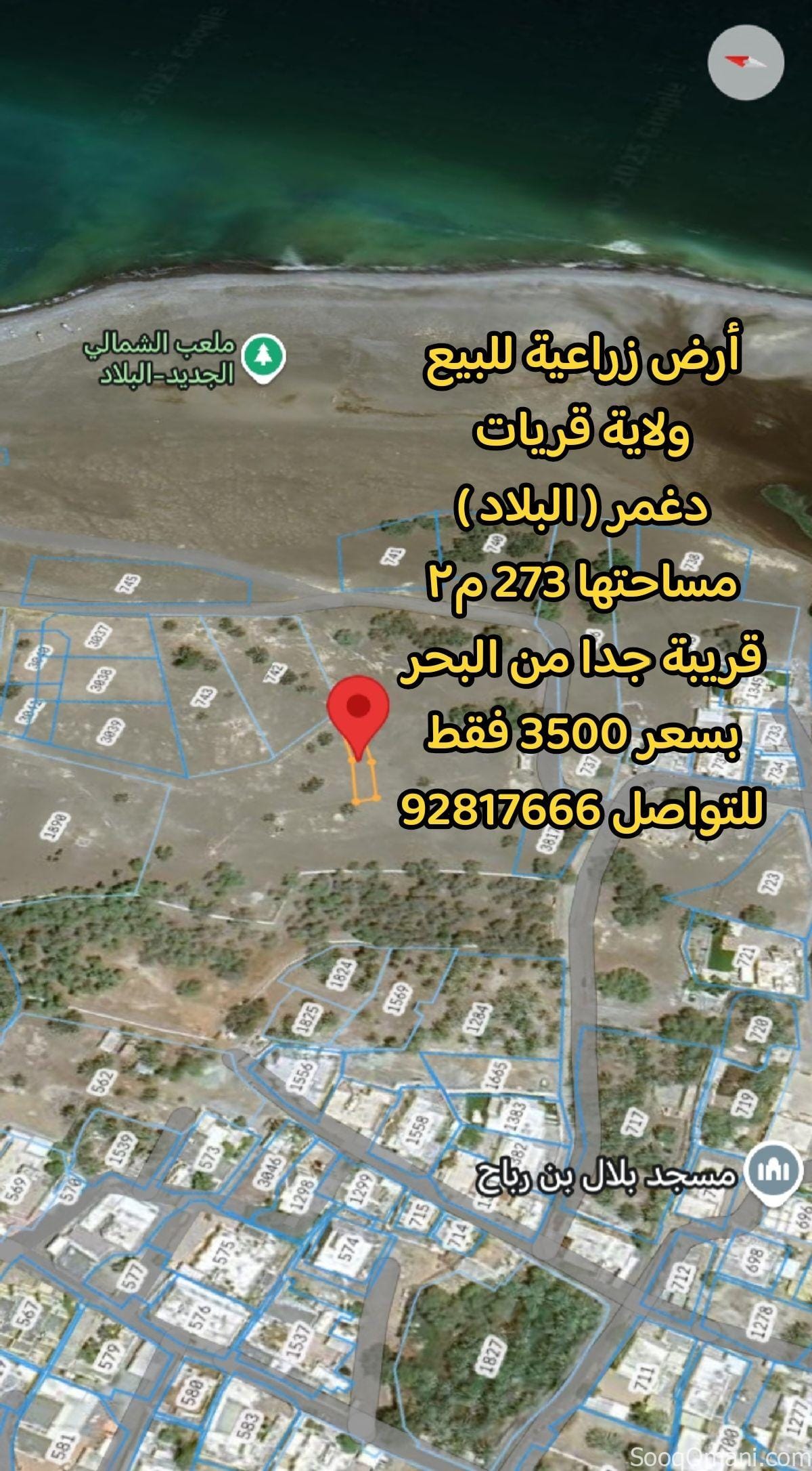 Agricultural land near the sea in Al-Qurayyat, Daghmar, area 273 m2