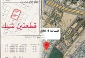 For sale two adjacent lands in Hafeet