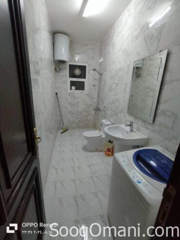 Studios and rooms for rent
