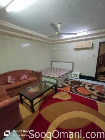 Studios and rooms for rent