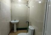 Studios and rooms for rent