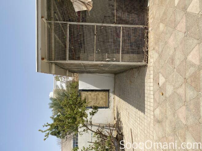 Large bird cage for sale