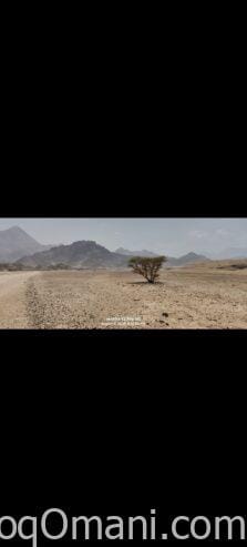 ✨ مباشرة من المالك والمالك لله✨ ✨ للبيع أرض سكنية في العامرات مدينة النهضة مربع 14/2