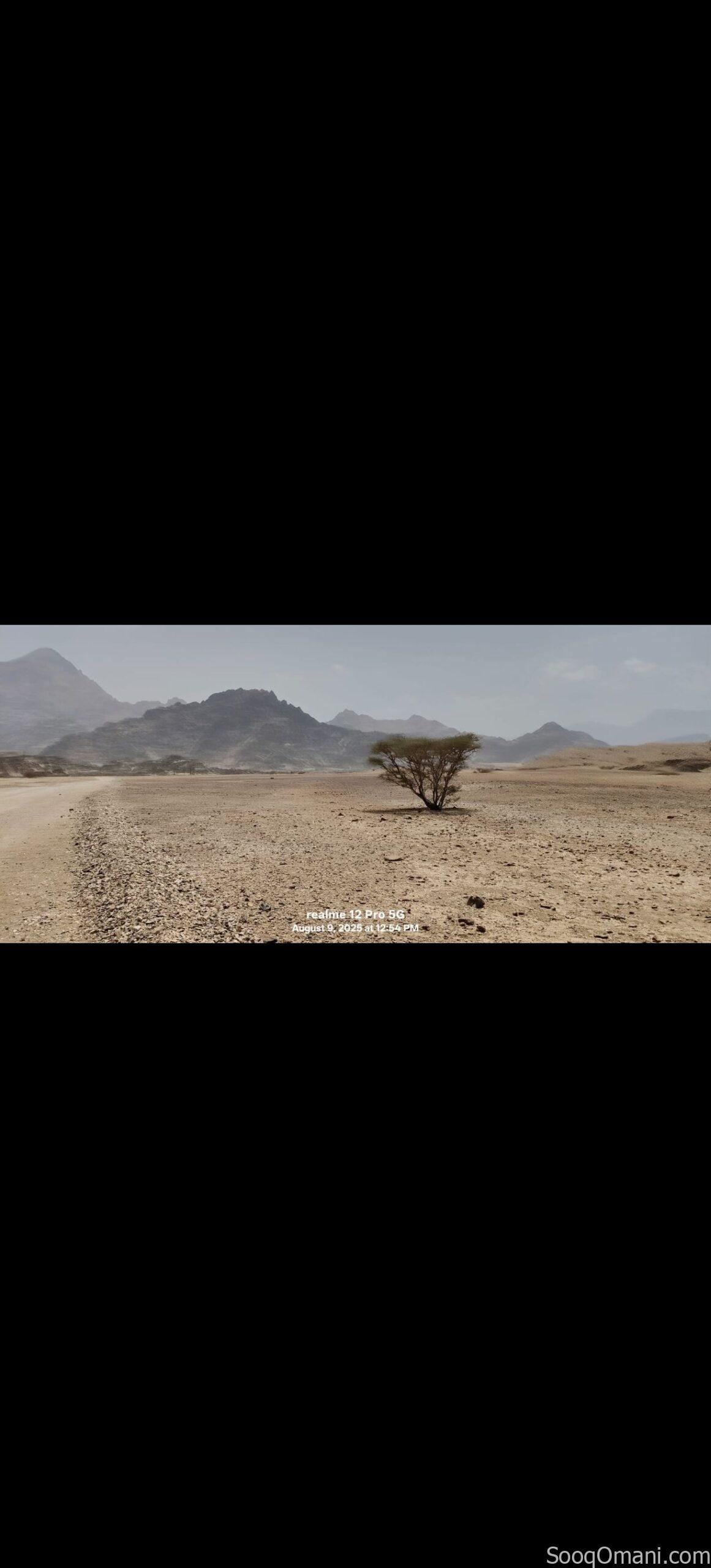 Residential plot for sale in Al Amerat, Al Nahda district, block 14/2