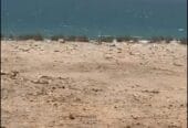 ✨Investment opportunity for sale: residential land in the Wilayat of Mahut, Ras Al Jardoud, on the beach, in a prime location.