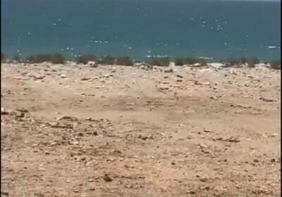 2cecd7ce-8db5-4bde-9e14-72d01bf0ff17