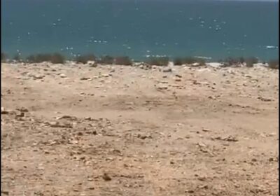 2cecd7ce-8db5-4bde-9e14-72d01bf0ff17