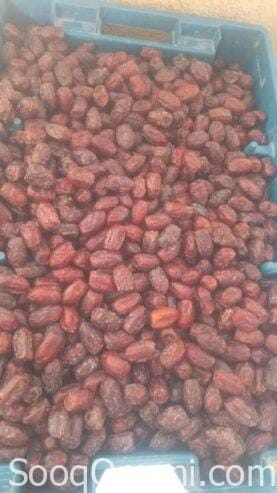 سح فرض للبيع