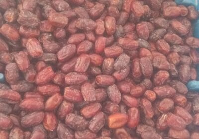 37c55adb-4c0f-40a7-b1cc-5b04e7b7d876