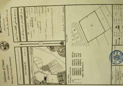 3a384b53-63cf-4fb7-9bd5-65c8c71d6923