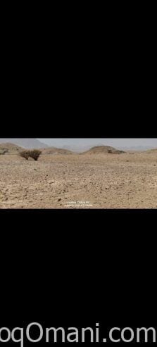 ✨ مباشرة من المالك والمالك لله✨ ✨ للبيع أرض سكنية في العامرات مدينة النهضة مربع 14/2