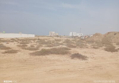 50572804-bd51-468b-9a4d-6473085eaccc