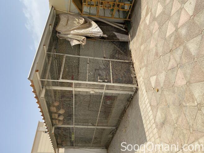 Large bird cage for sale