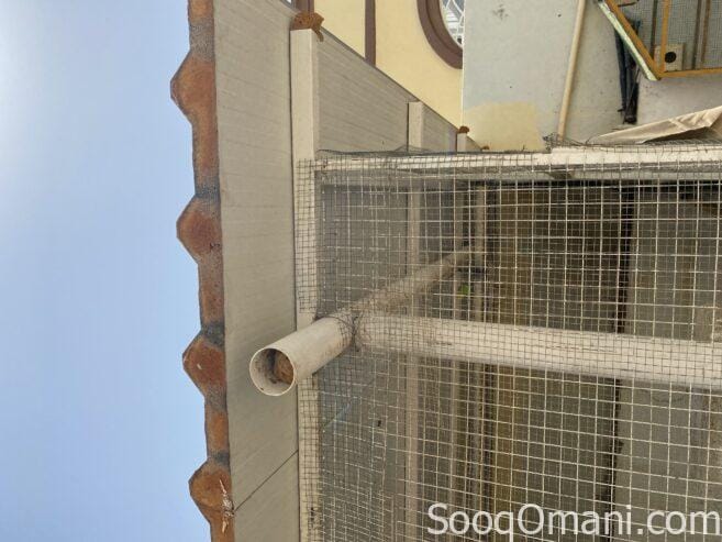 Large bird cage for sale