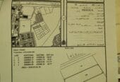 Two agricultural plots for sale in Sohar directly from the owner