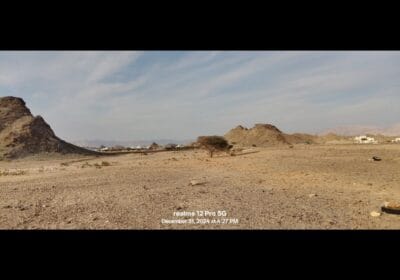 7183c4e9-662f-48ae-8e13-34ebd3d0c0d5