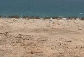✨Investment opportunity for sale: residential land in the Wilayat of Mahut, Ras Al Jardoud, on the beach, in a prime location.